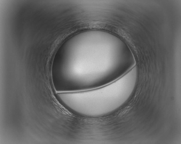 X0000072930673200607210933