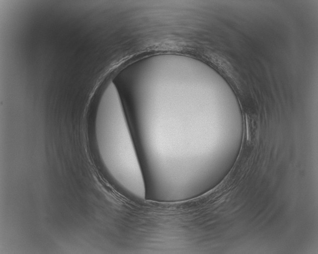 X0000072930675200607210933