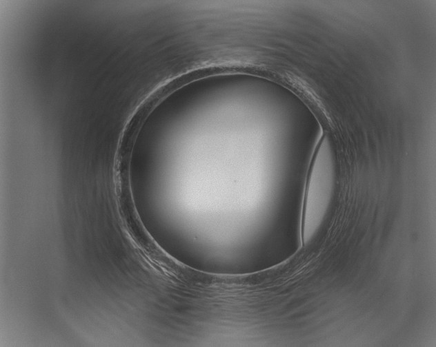 X0000072930676200607210932