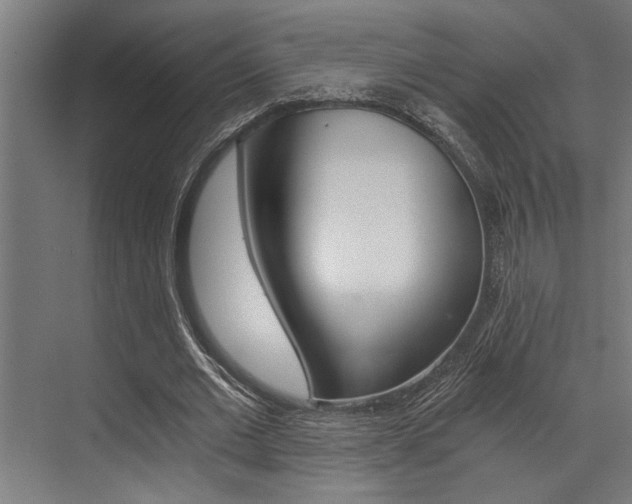 X0000072930677200607210932