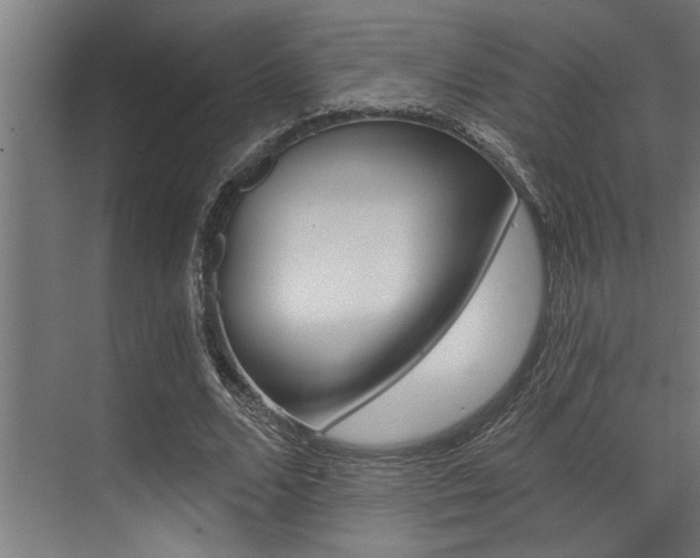 X0000072930680200607210932