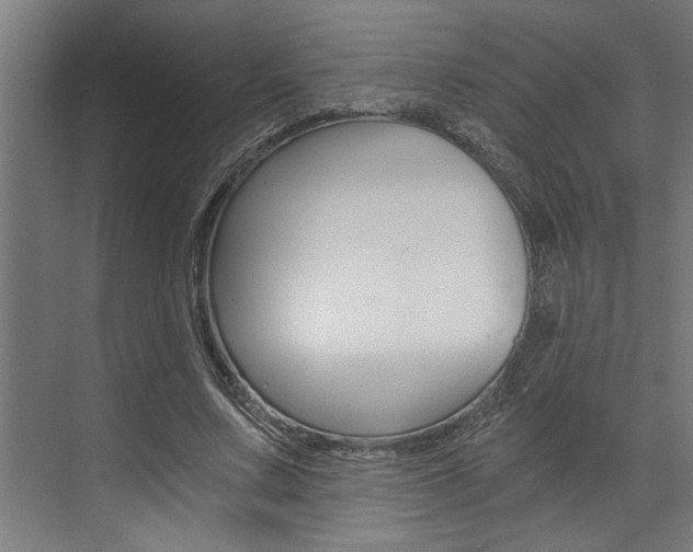 X0000072930683200607210932