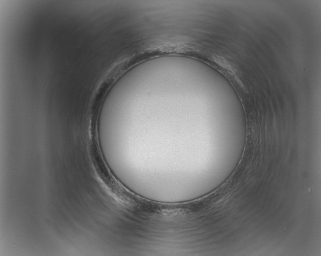 X0000072930686200607210932
