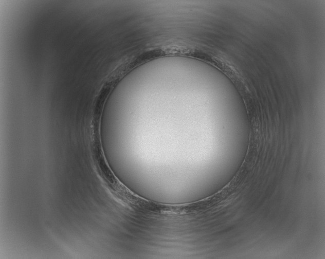 X0000072930690200607210932