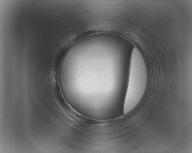 X0000072930692200607210932