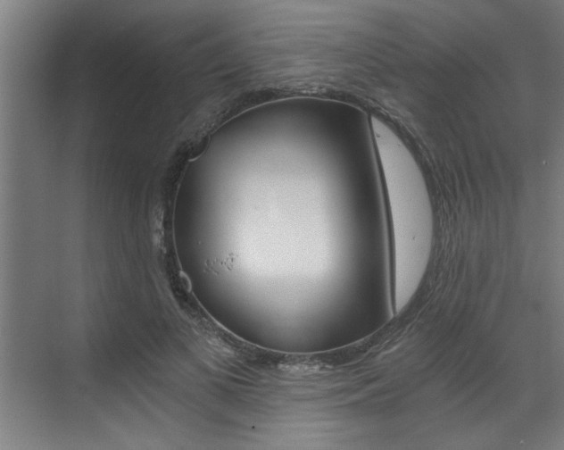 X0000072930693200607210932