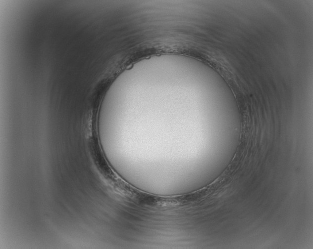 X0000072930694200607210932