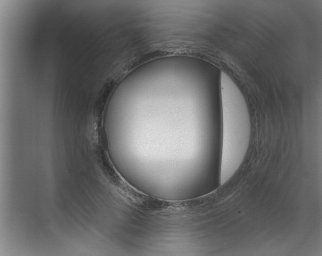 X0000072930696200607210932