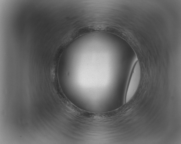 X0000072930697200607210932