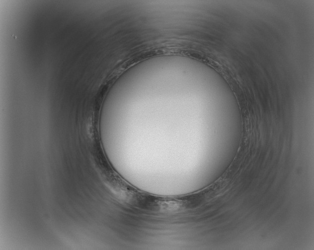 X0000072930698200607210932