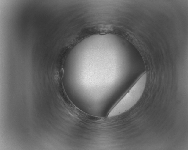 X0000072930704200607210932