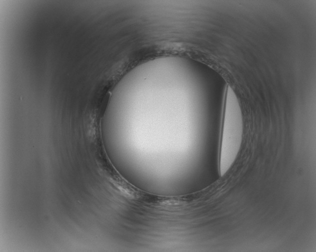 X0000072930708200607210932