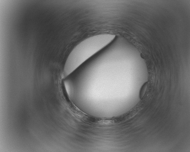 X0000072930711200607210932