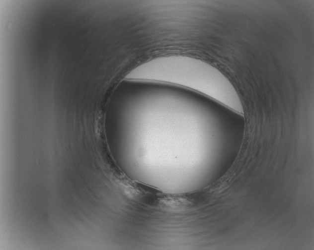 X0000072930712200607210932