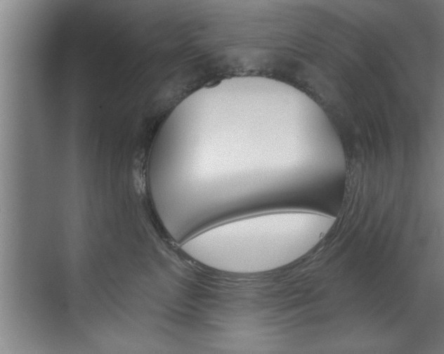 X0000072930719200607210932