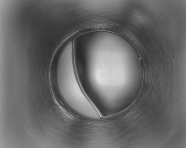 X0000072930722200607210931
