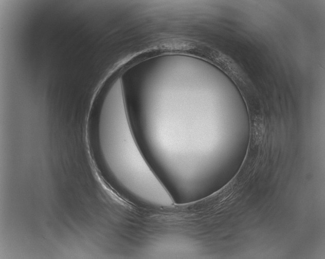 X0000072930726200607210931