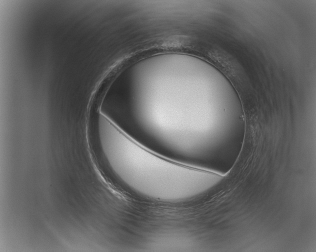 X0000072930728200607210931