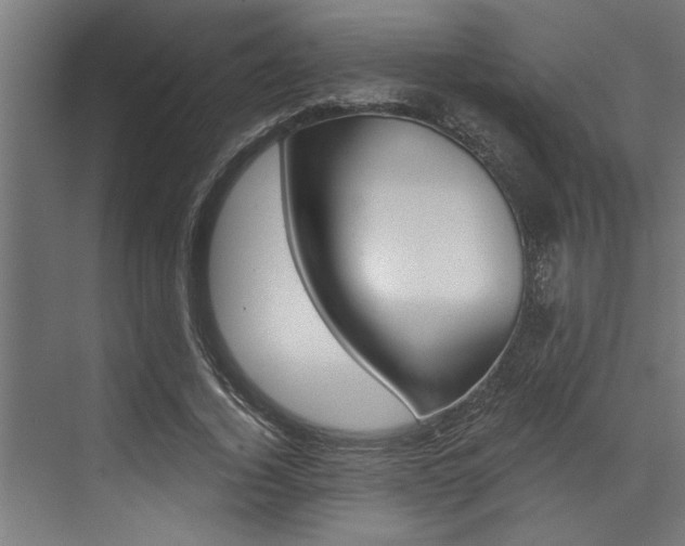 X0000072930732200607210931