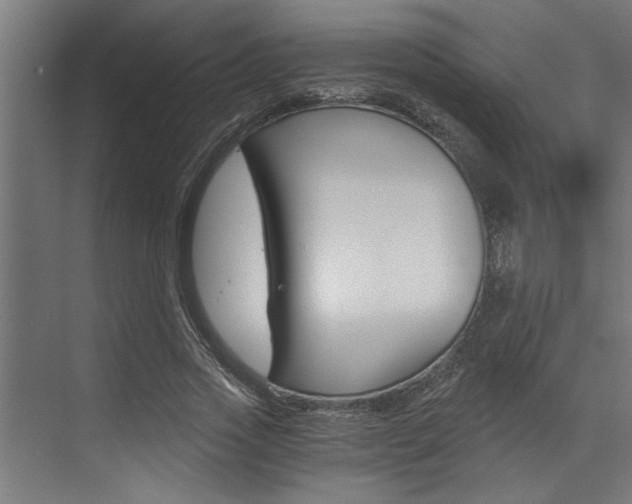 X0000072930733200607210931