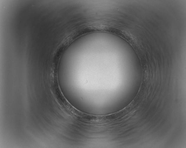 X0000072930739200607210931