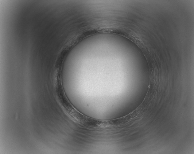 X0000072930742200607210931