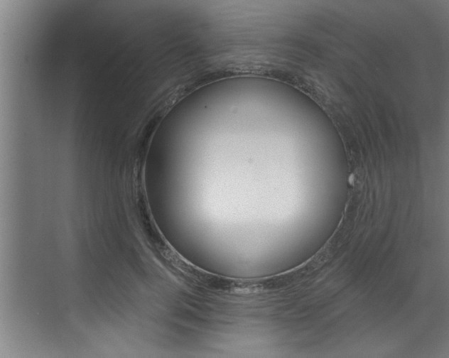 X0000072930744200607210931