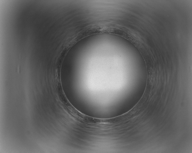 X0000072930748200607210931