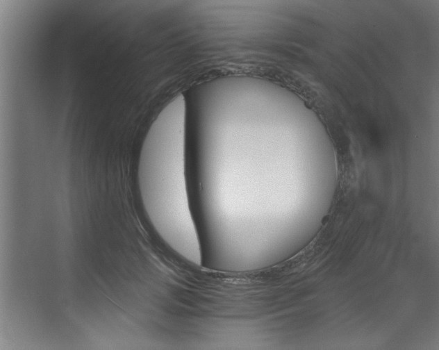 X0000072930749200607210931