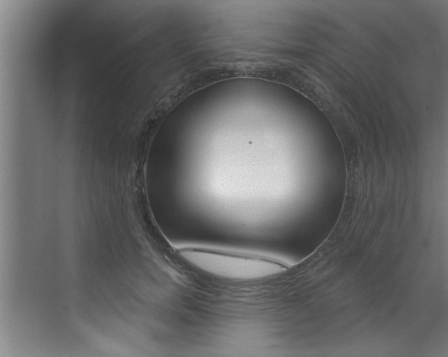 X0000072930750200607210931