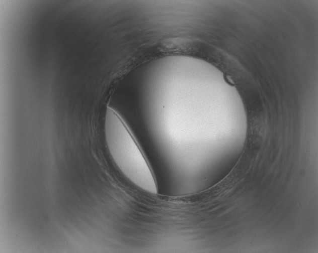 X0000072930751200607210931
