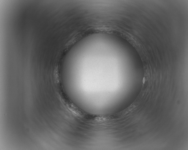 X0000072930764200607210932