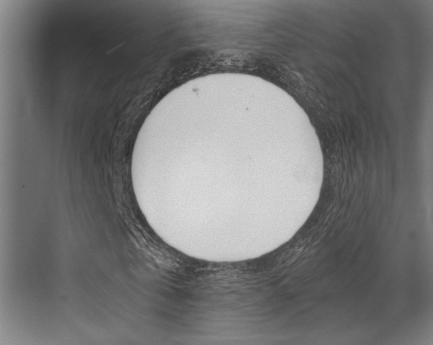 X0000072930769200607210931