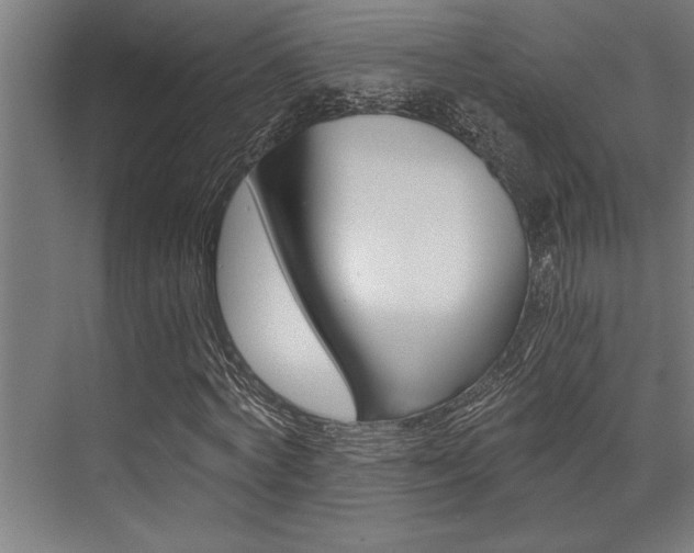 X0000072930772200607210931