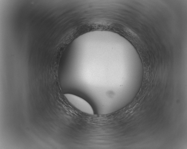 X0000072930774200607210931