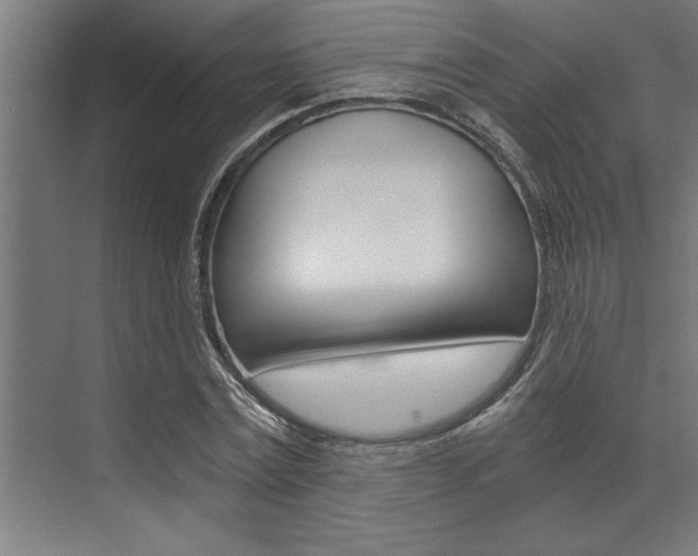 X0000072930779200607210931
