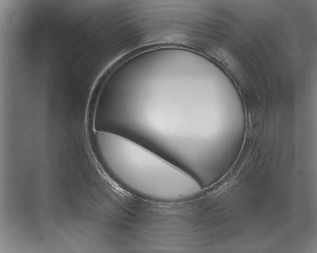X0000072930780200607210931