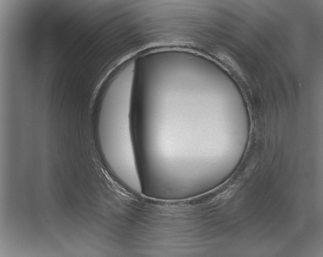 X0000072930781200607210931