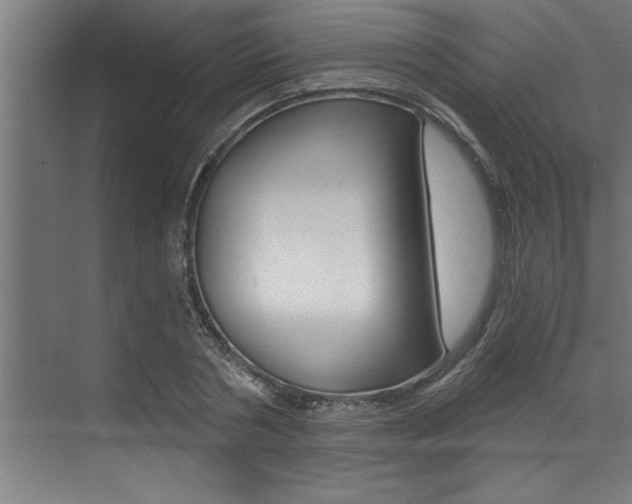 X0000072930786200607210931