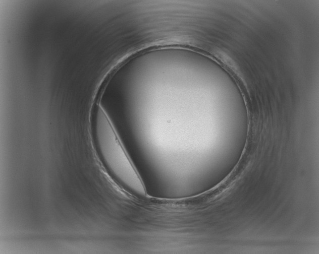 X0000072930789200607210931