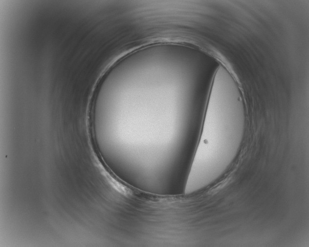 X0000072930803200607210930