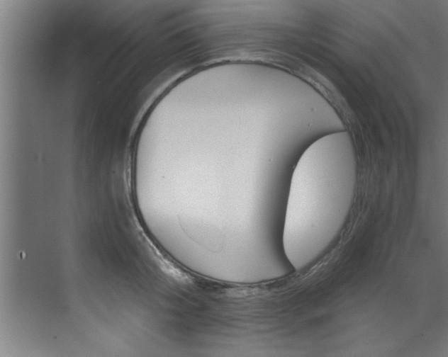X0000072930804200607210930