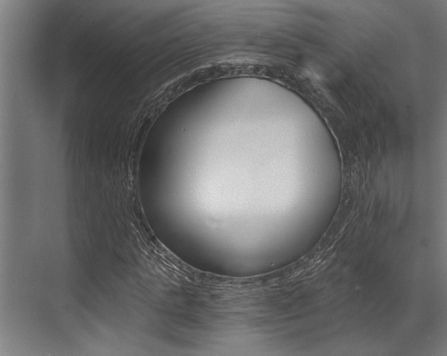 X0000072930821200607210929