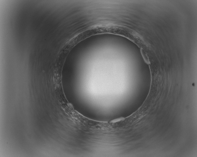 X0000072930822200607210929