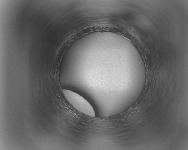 X0000072930823200607210929