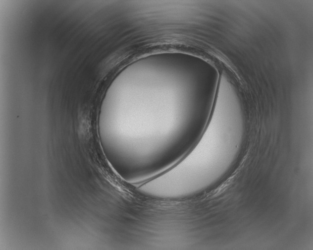 X0000072930826200607210929