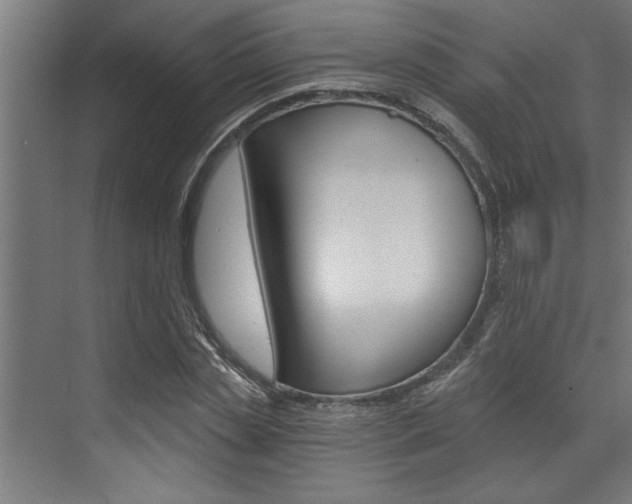 X0000072930829200607210930