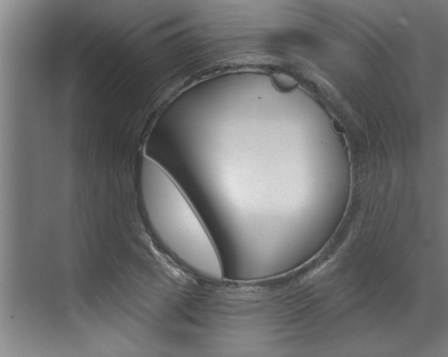 X0000072930833200607210930