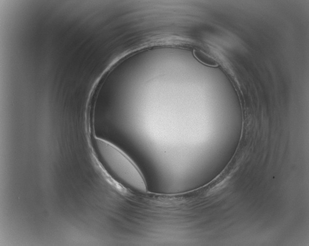 X0000072930843200607210930