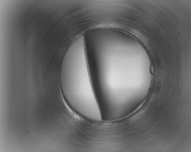 X0000072930849200607210930